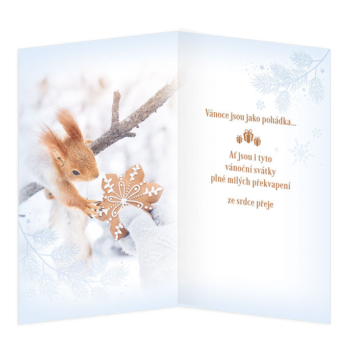 11-6559 Vánoční přání CZ