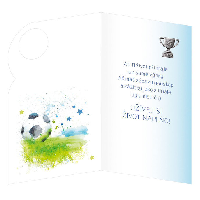 15-6603 Blahoprajná karta gratulační CZ