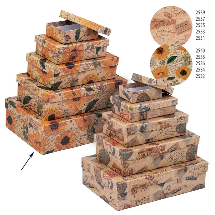 2540-0159 Dárková krabice 26,4x17,6x7,3cm /2500-8159/