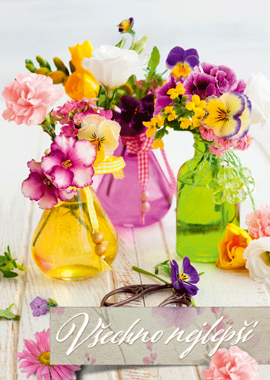 75-9004c Blahopřání gratulační 3D CZ