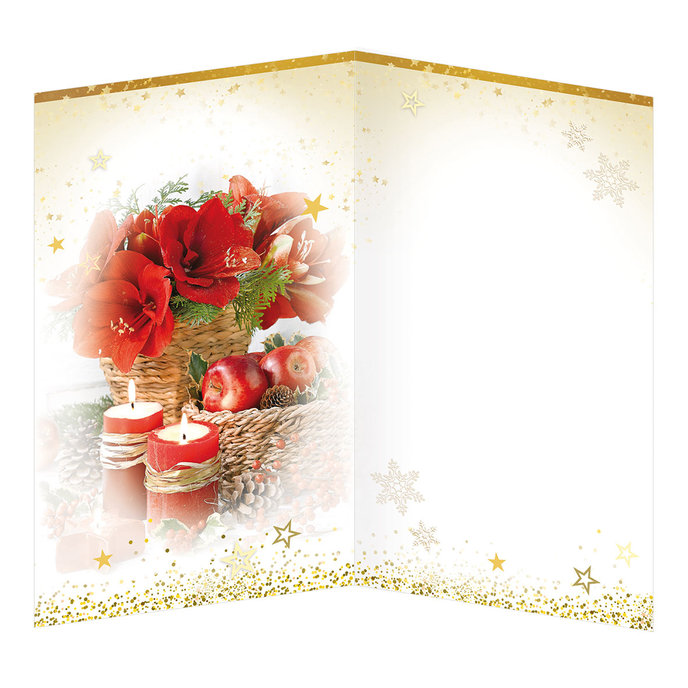 11-6459 Vánoční přání BT