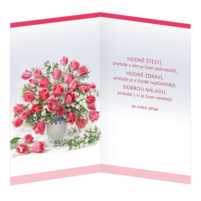 15-6463 Blahoprajná karta gratulační CZ