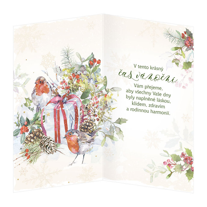 11-6446 Vánoční přání CZ