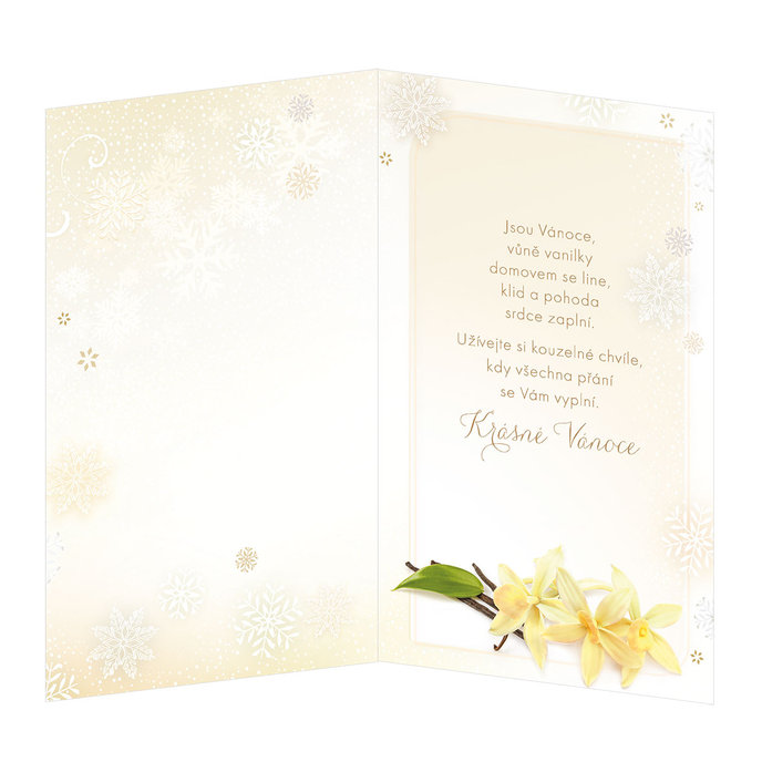 11-6384 Christmas greeting card CZ