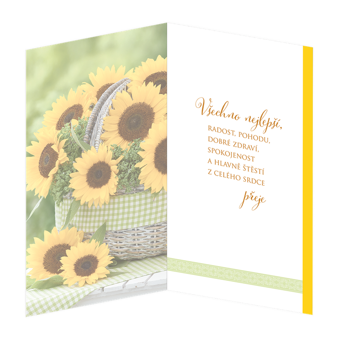 15-6347 Greeting card CZ/40