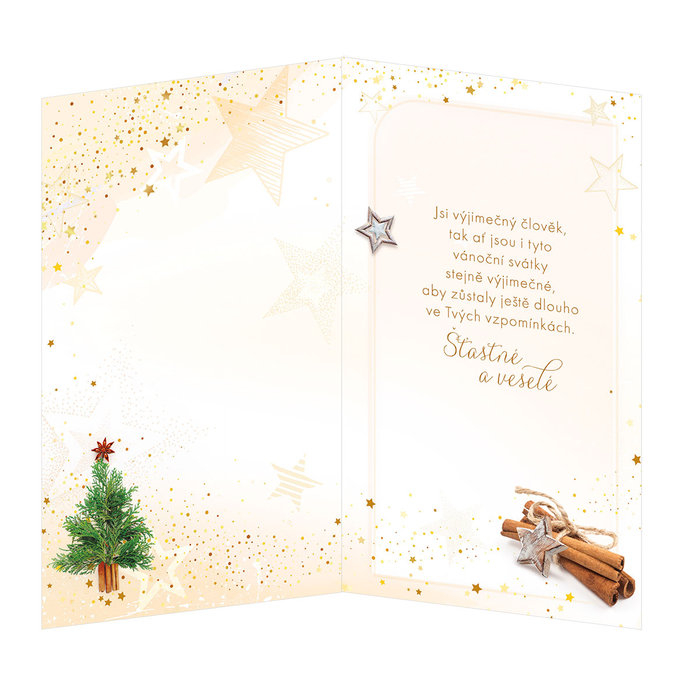 11-6383-2 Christmas greeting card CZ