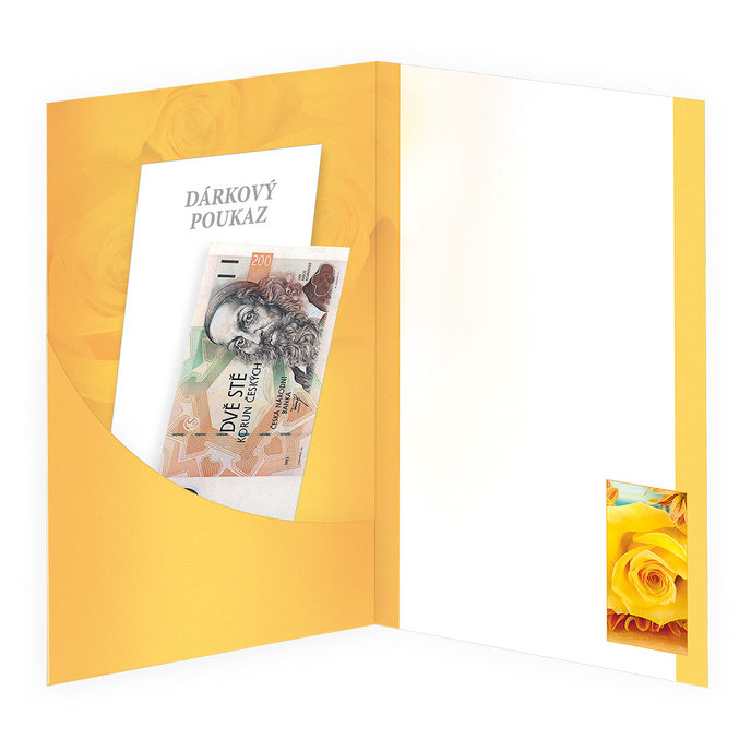 15-6300 Blahopřání gratulační klopa na peníze DE/50