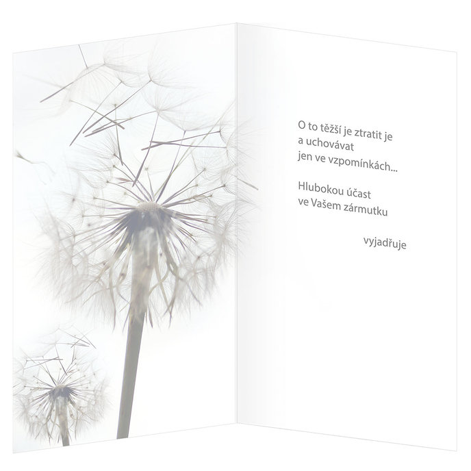 54-600 Blahopřání kondolenční CZ