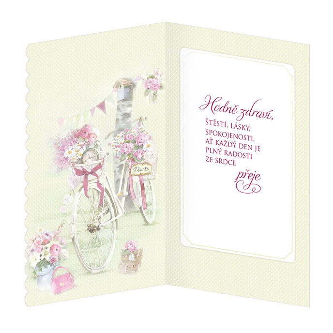 15-6409 Blahopřání gratulační  CZ/18