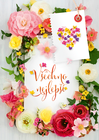 75-9003c Blahopřání gratulační 3D CZ