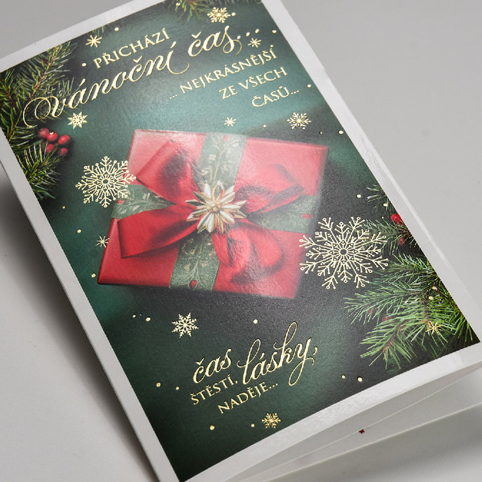 11-6573 Christmas greeting card with leap CZ