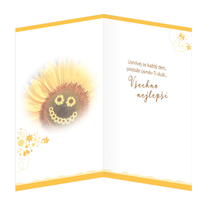 15-6419 nBlahopřání gratulační  CZ