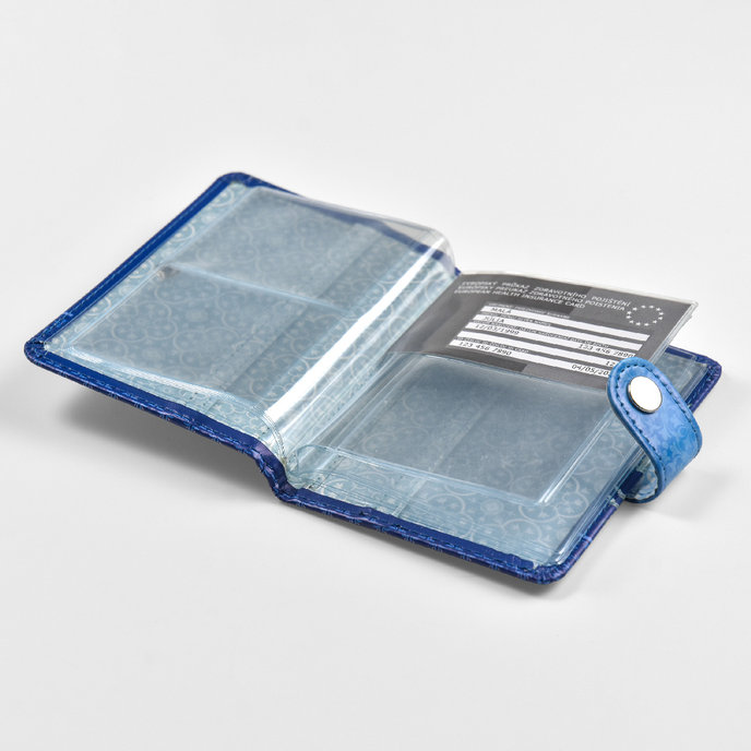 1602-0400 Pouzdro na doklady Spring blooms