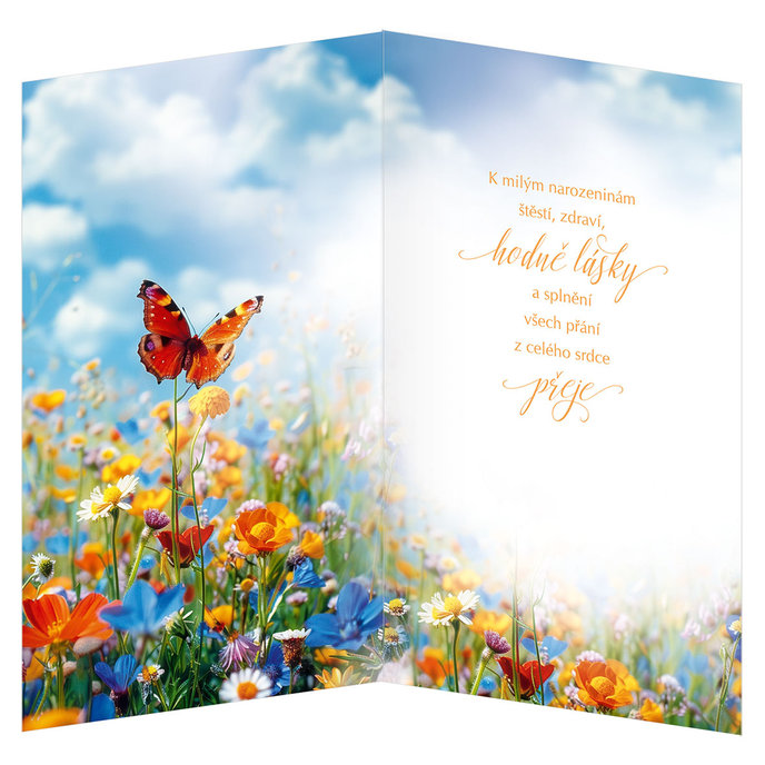 55-606 Blahopřání gratulační CZ