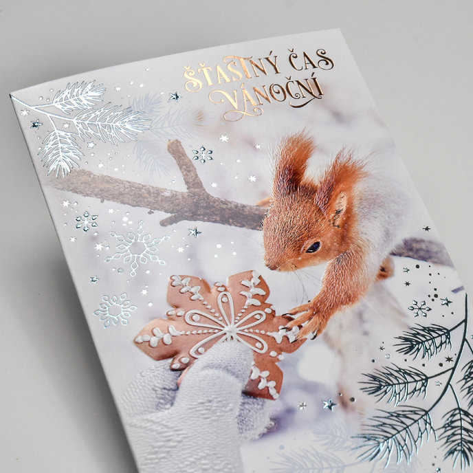 11-6559 Vánoční přání CZ