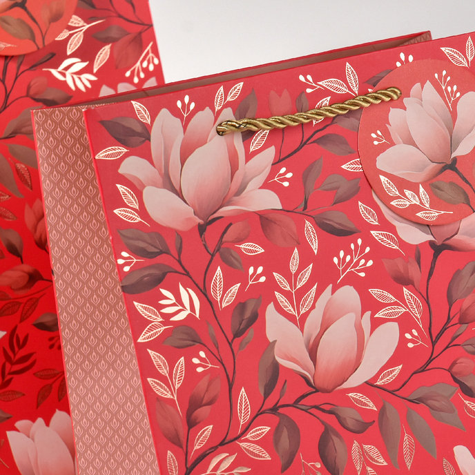 0729-0202 Gift bag LUX