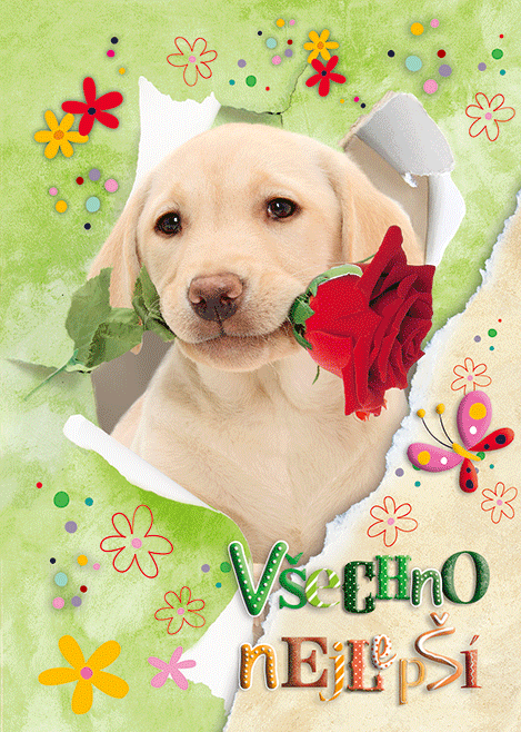 0616-0630c Pohlednice zvířata 3D CZ