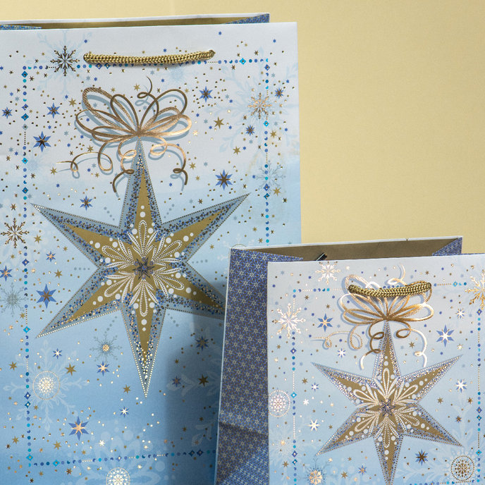 0829-0159 Dárková taška vánoční LUX