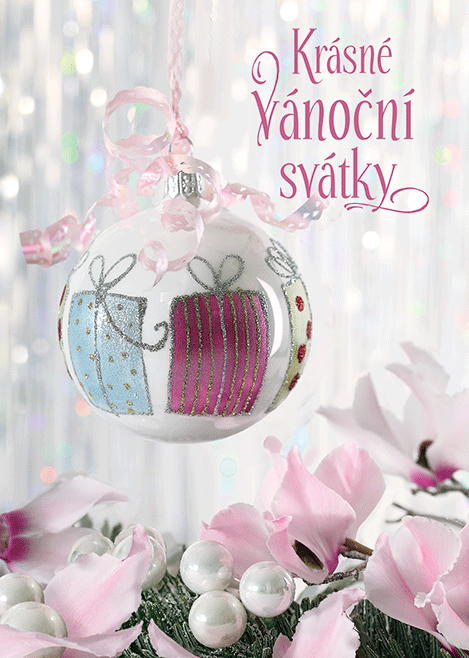 0611-0265c Christmas postcard 3D CZ