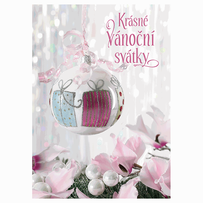 0611-0265c Christmas postcard 3D CZ