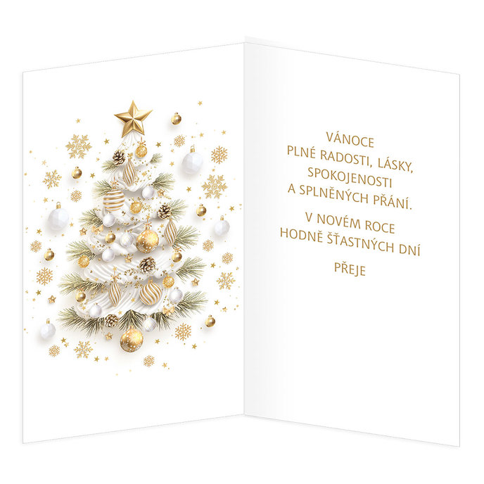 11-6569 Vánoční přání CZ