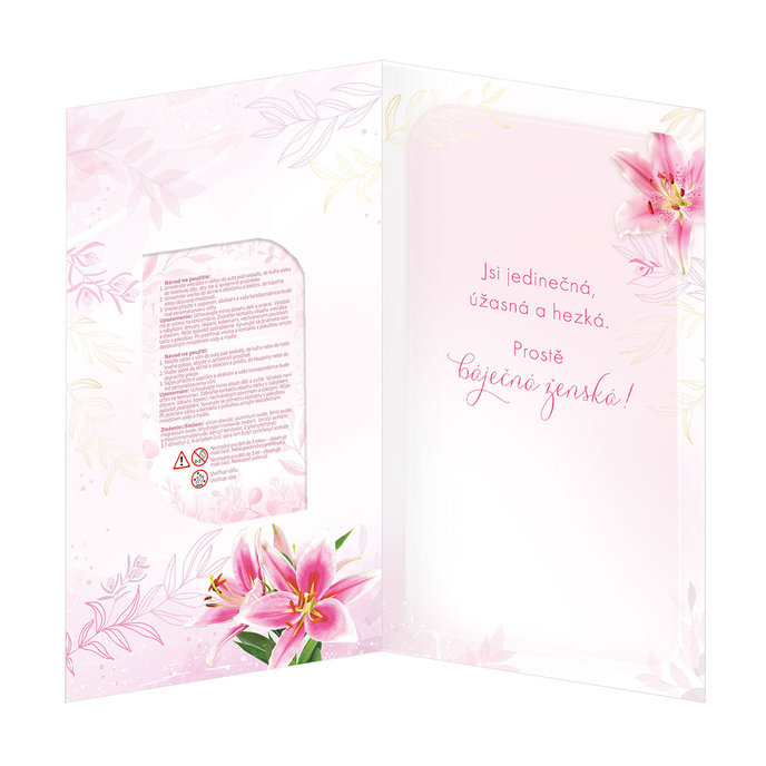 15-6430-2 nGreeting card  CZ