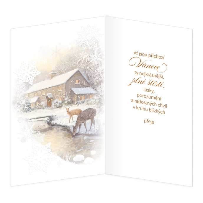 11-6464 Vánoční přání CZ