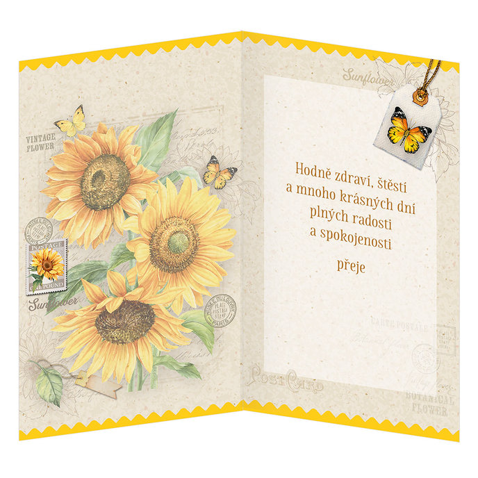 15-6575 Blahopřání gratulační CZ/50
