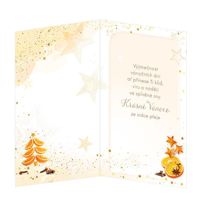 11-6381-2 Christmas greeting card CZ