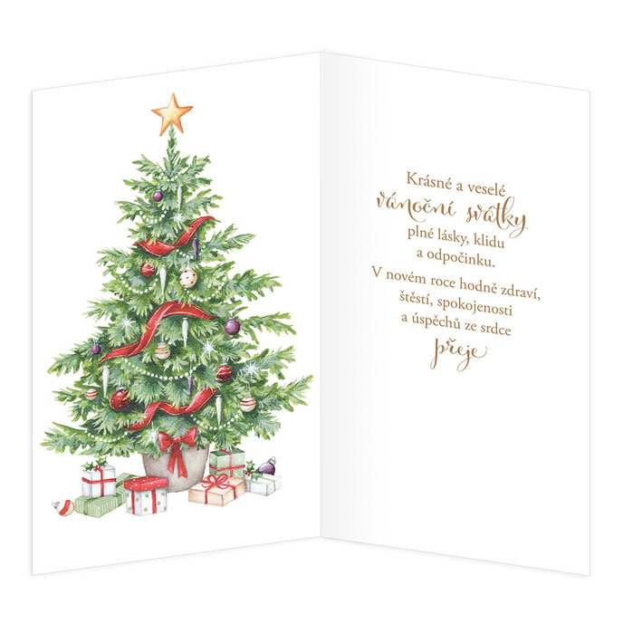 11-6483 Vánoční přání CZ