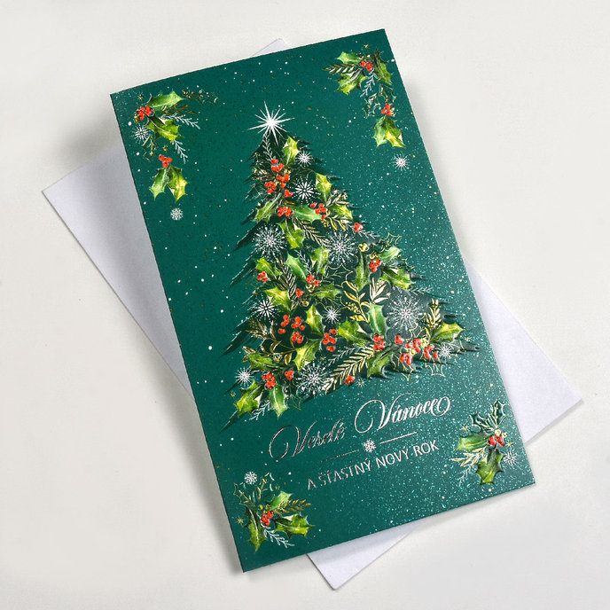 11-6570 Vánoční a novoroční přání CZ
