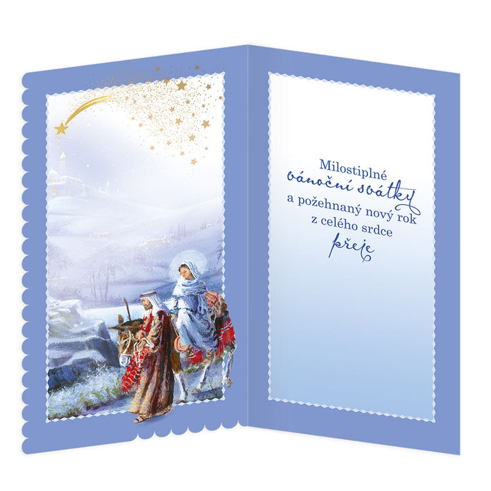 11-6510 Vánoční přání DO CZ