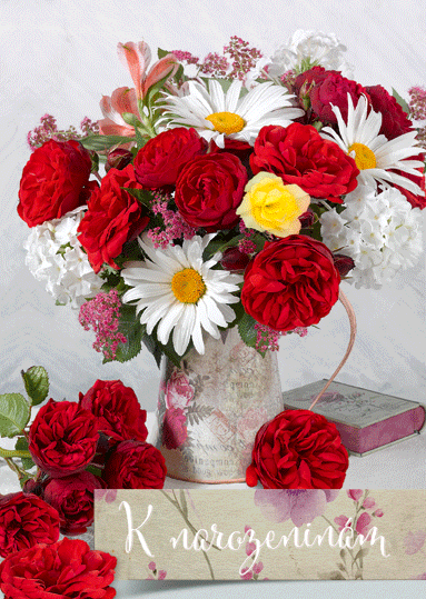 75-9001c Blahopřání gratulační 3D CZ