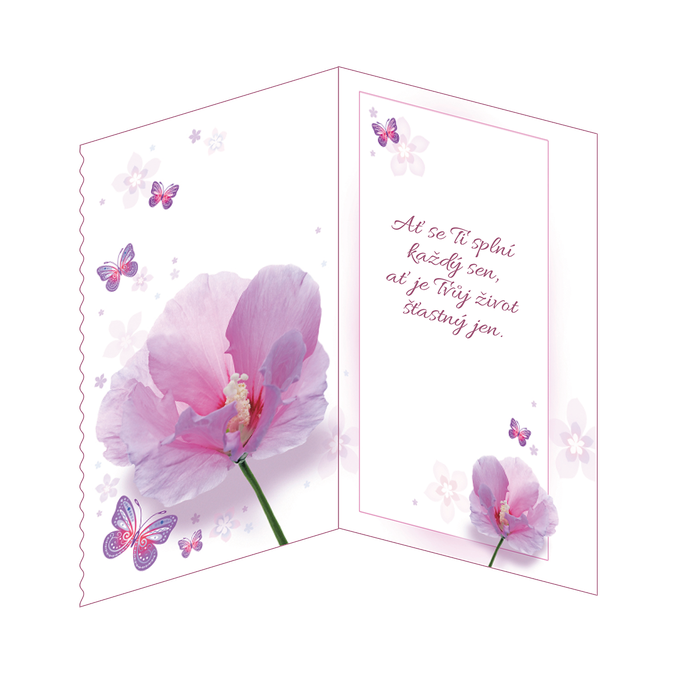 75-660 Blahopřání gratulační CZ