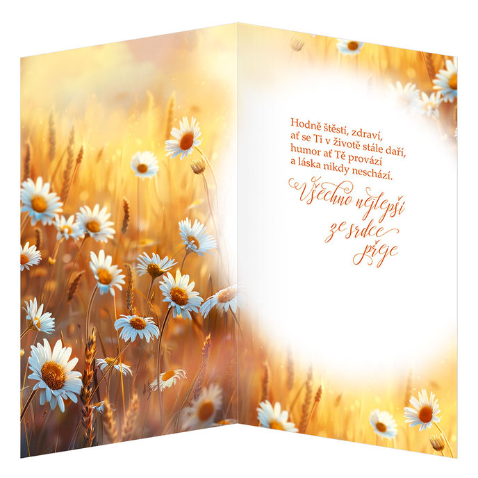 55-607 Blahoprajná karta gratulační CZ