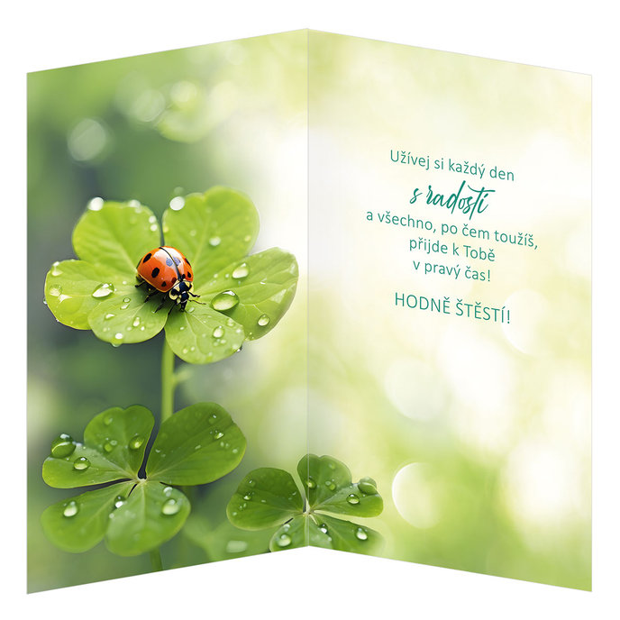 55-608 Blahoprajná karta gratulační CZ