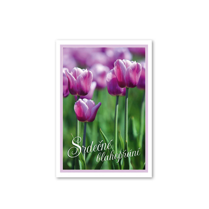 0615-0581c Card for birthdays, name days CZ