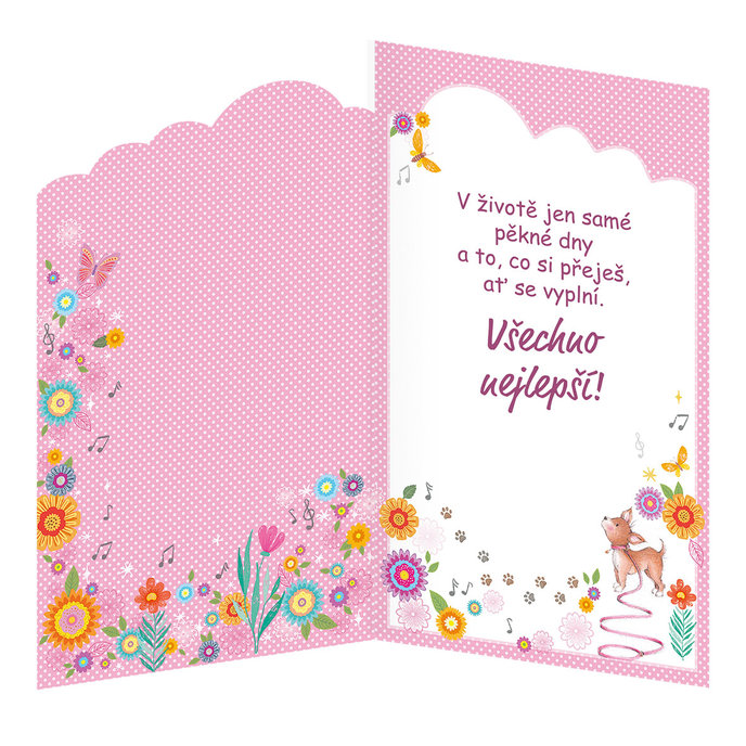 17-6069 Blahopřání dětské CZ