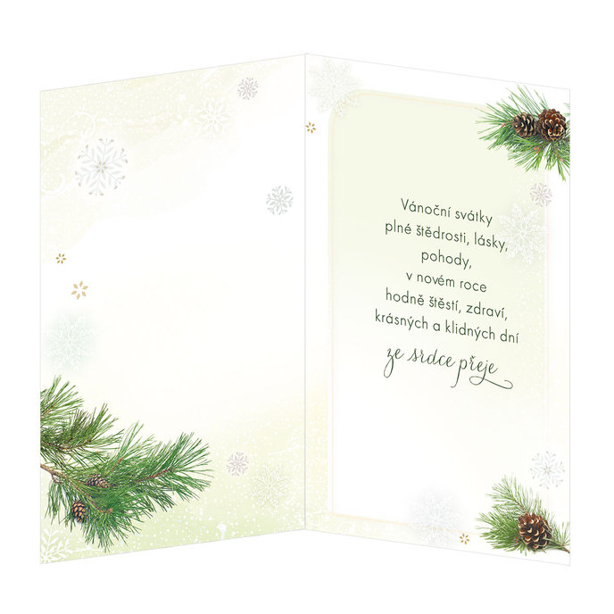 11-6382 Christmas greeting card CZ