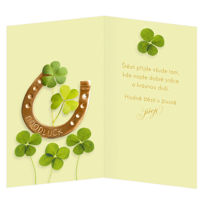 15-6544 Blahoprajná karta gratulační CZ