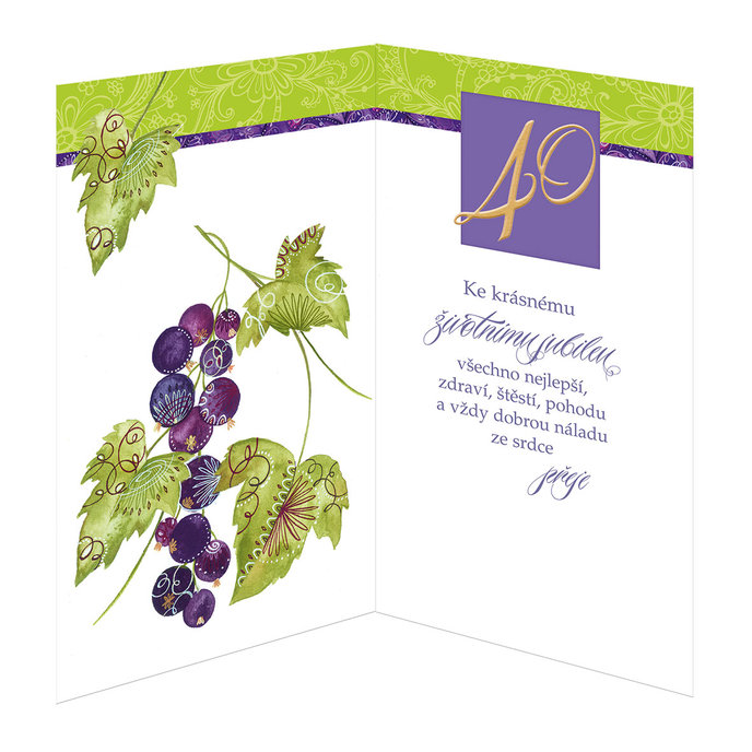 15-6201 Blahopřání gratulační CZ/40