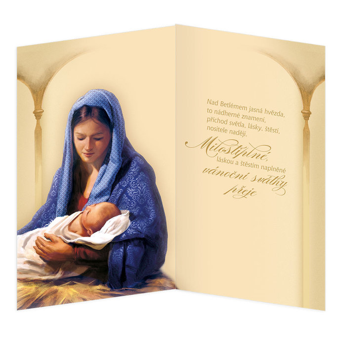 11-6543 Christmas greeting card CZ