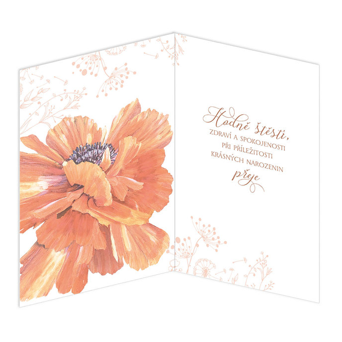 75-672 Blahopřání gratulační CZ/70