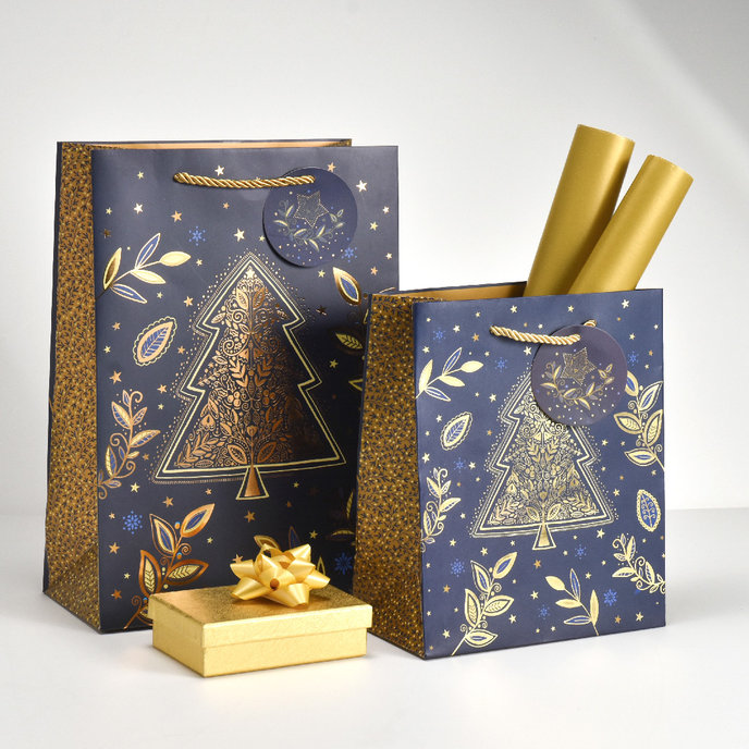 0849-0166 Gift bag LUX