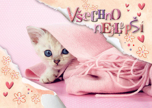 0616-0630c Pohlednice zvířata 3D CZ