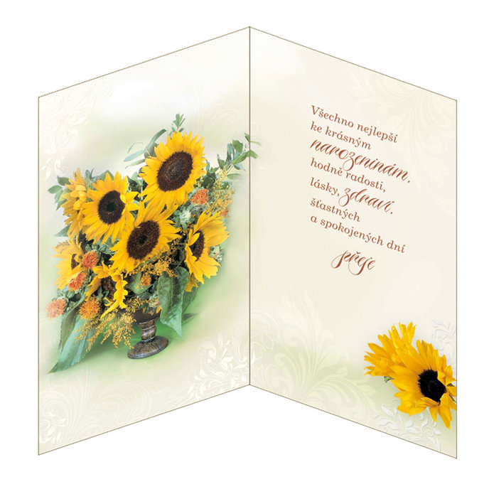 15-6236 Blahopřání gratulační otočník CZ