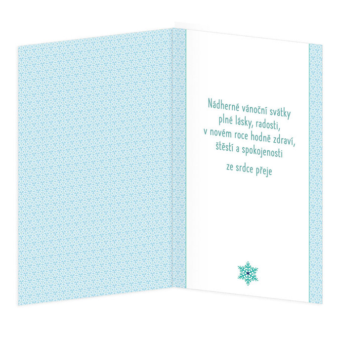11-6538 Vánoční přání CZ