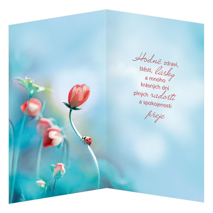 55-609 Blahoprajná karta gratulační CZ