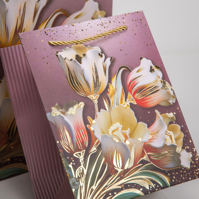 0789-9801 Dárková taška LUX