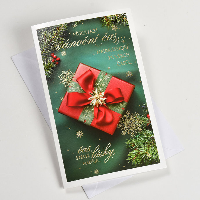 11-6573 Christmas greeting card with leap CZ